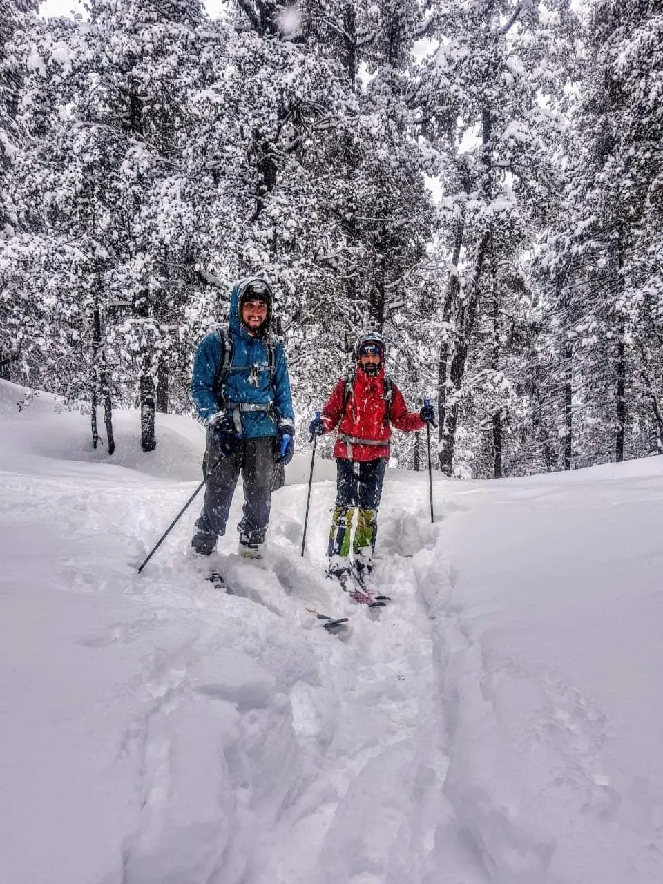 file - 2026-04-28T155207.388.webp